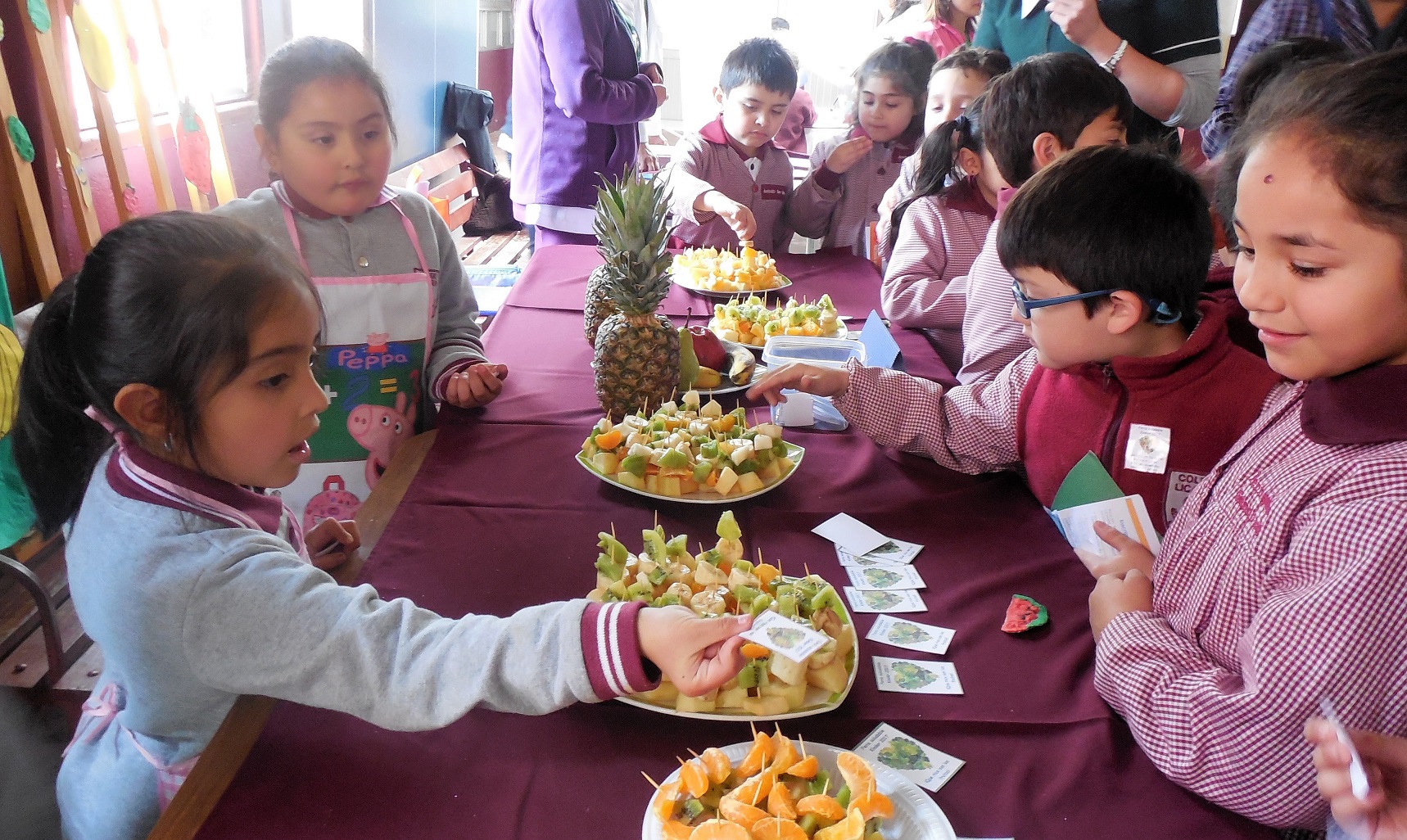 Feria Alimentacion Y Vida Saludable